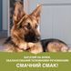 ACANA Adult Large Breed Recipe 11,4 кг 5 фото 4