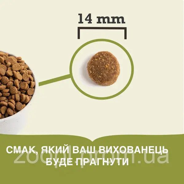 ACANA (Акана) Classic Red / Red Meat 14.5 кг (ягненок) 14,5 кг - корм для собак всех пород и всех стадий жизни 2346 фото